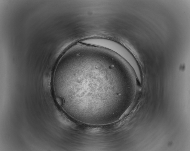 X0000101090058200807031736