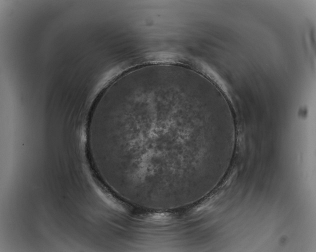 X0000101090059200807031736