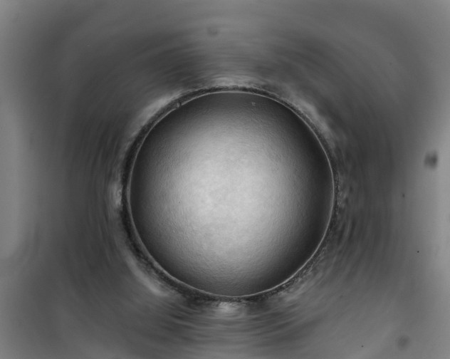 X0000101090060200807031736