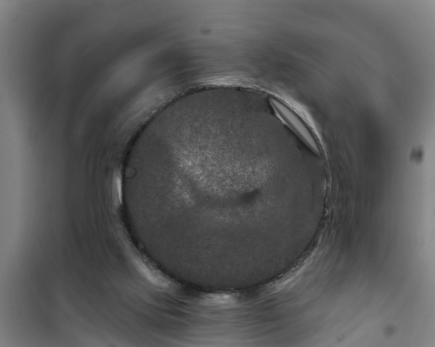 X0000101090061200807031736