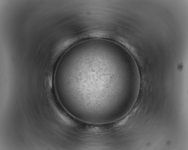 X0000101090062200807031736