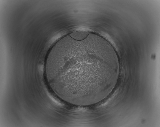 X0000101090063200807031736