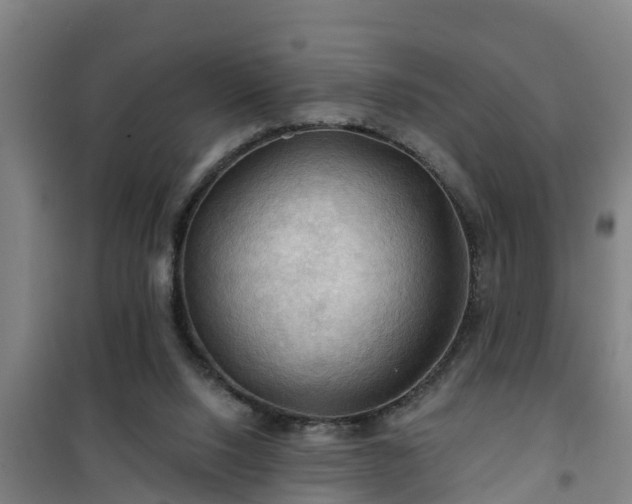 X0000101090064200807031736