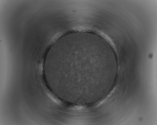 X0000101090065200807031736