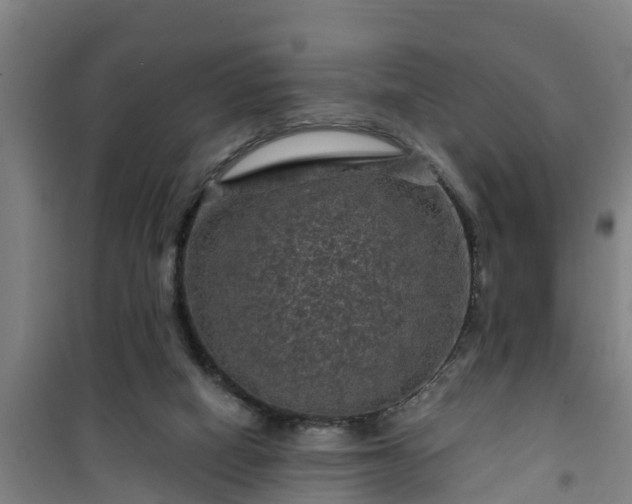 X0000101090066200807031736