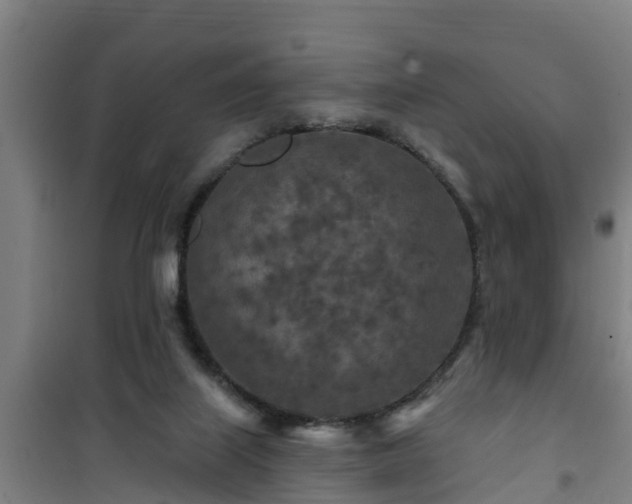 X0000101090067200807031736