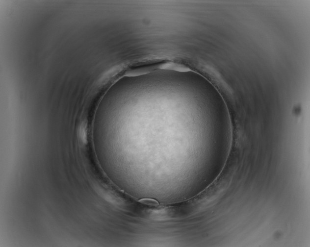 X0000101090068200807031736