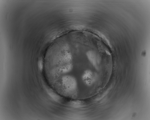 X0000101090069200807031736