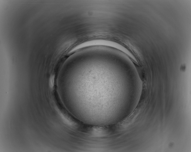 X0000101090070200807031736