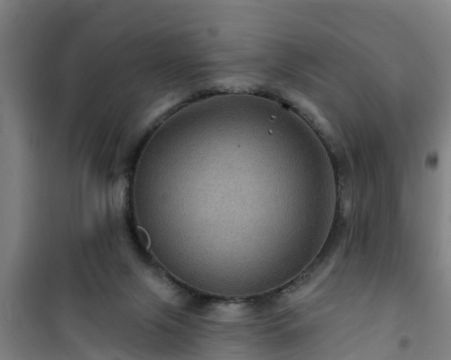 X0000101090071200807031736