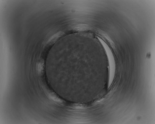 X0000101090073200807031736