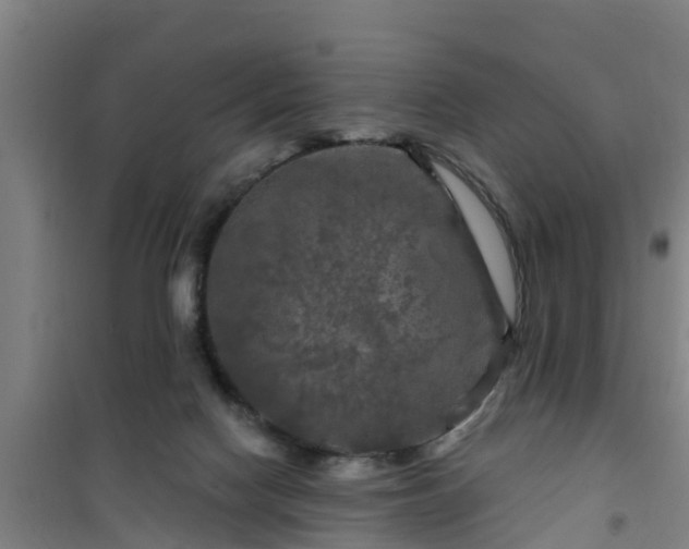 X0000101090074200807031736