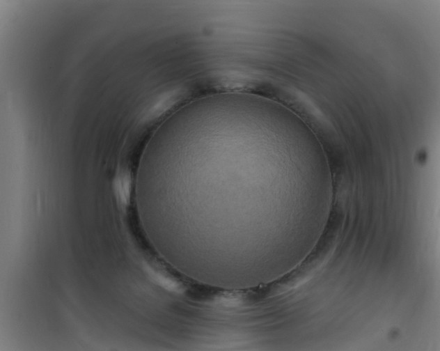 X0000101090076200807031736