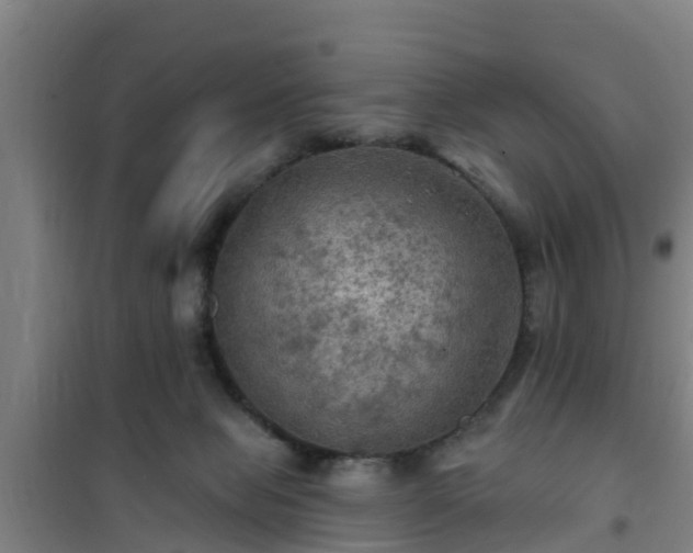 X0000101090077200807031736