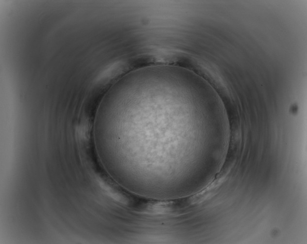 X0000101090078200807031736