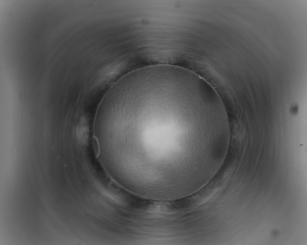 X0000101090080200807031736