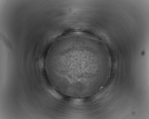 X0000101090081200807031736