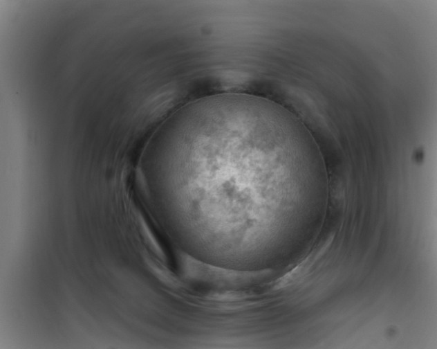 X0000101090082200807031736