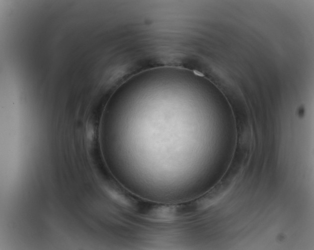 X0000101090084200807031736