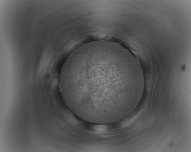 X0000101090085200807031736