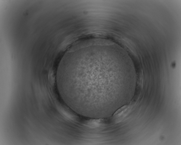 X0000101090086200807031736