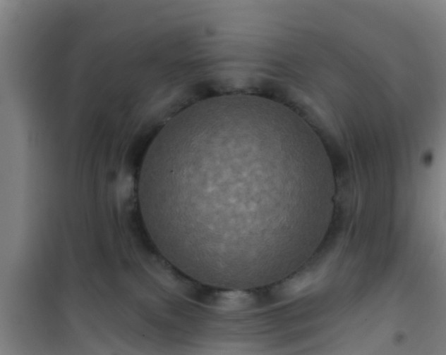 X0000101090087200807031737