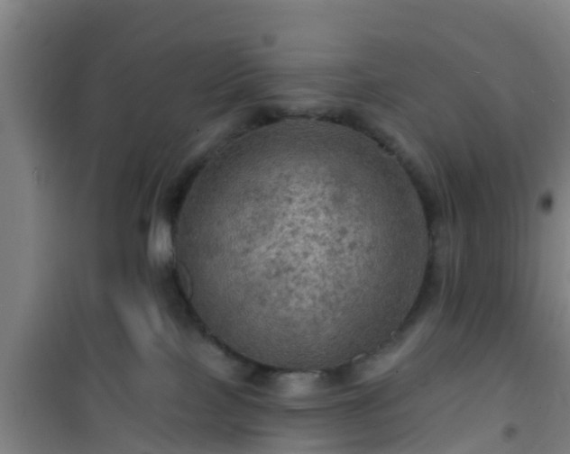 X0000101090089200807031737