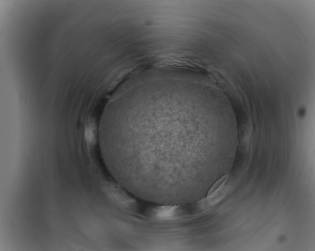 X0000101090090200807031737