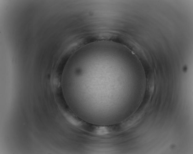 X0000101090091200807031737