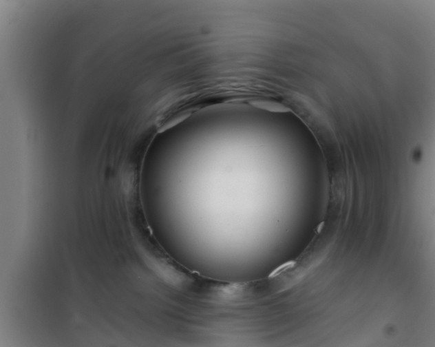 X0000101090092200807031737