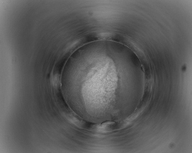 X0000101090093200807031737