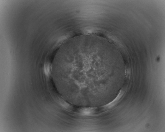 X0000101090094200807031737