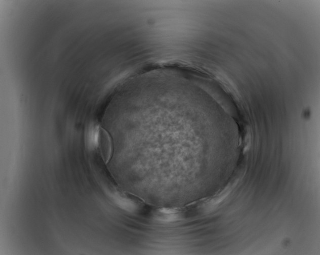 X0000101090095200807031737