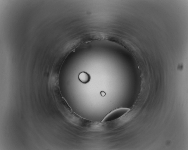 X0000101090096200807031737