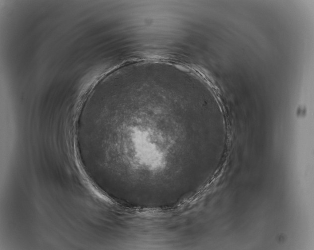 X0000101090097200807031736