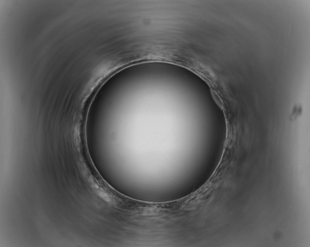 X0000101090098200807031736