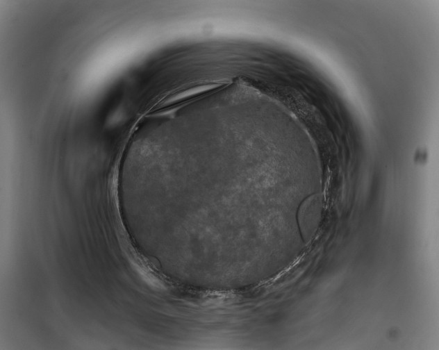 X0000101090099200807031736