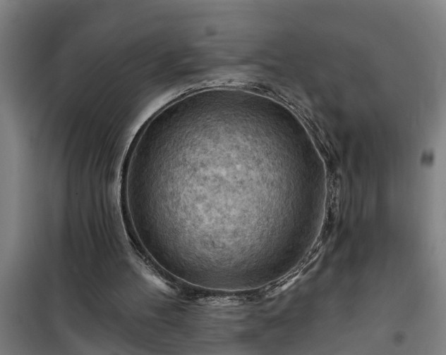 X0000101090100200807031736