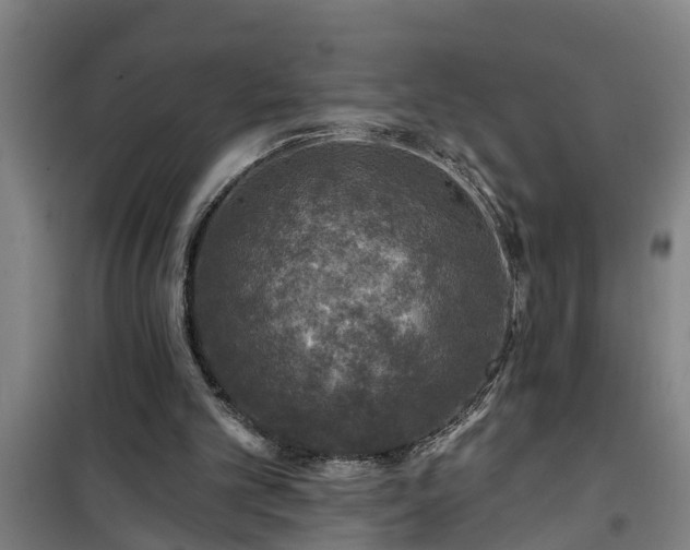 X0000101090101200807031736