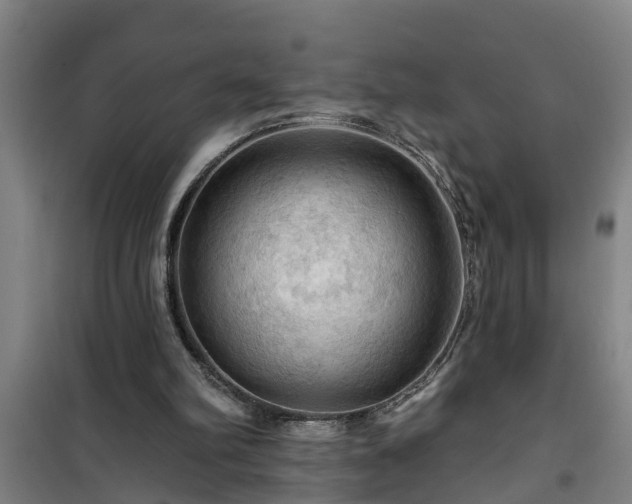 X0000101090102200807031736