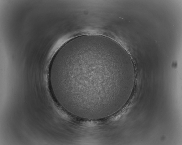 X0000101090103200807031736