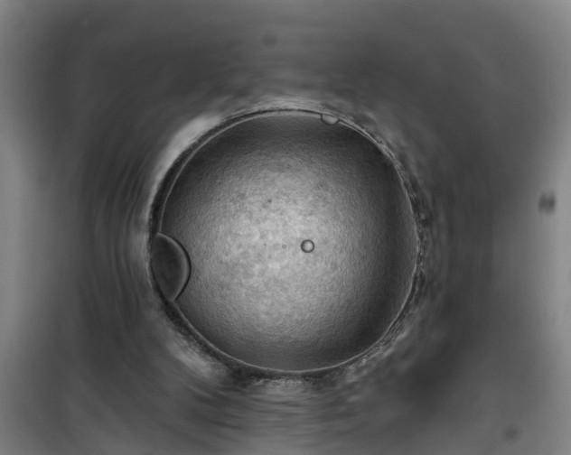 X0000101090104200807031736