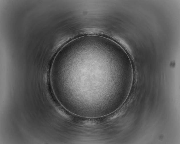 X0000101090105200807031736