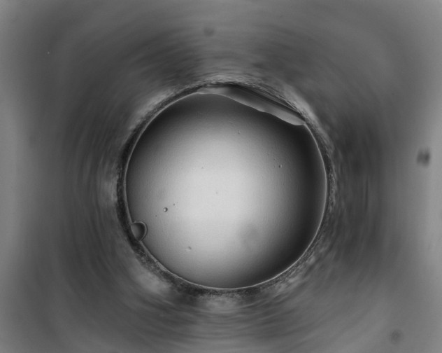 X0000101090106200807031736