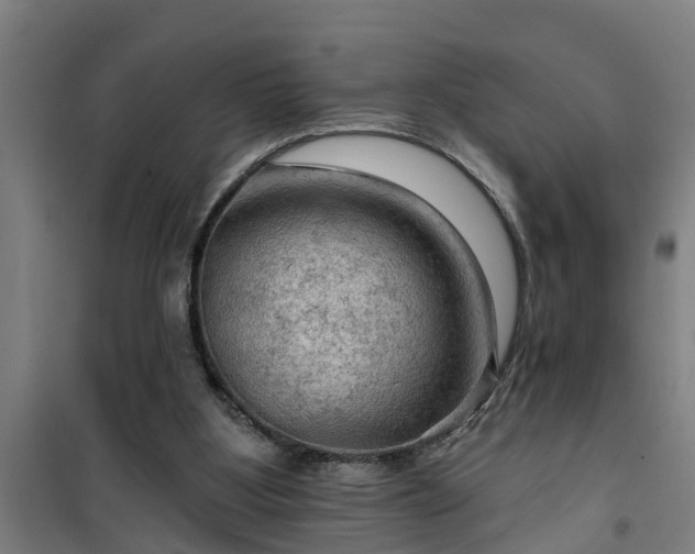 X0000101090107200807031736