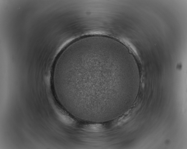 X0000101090108200807031736