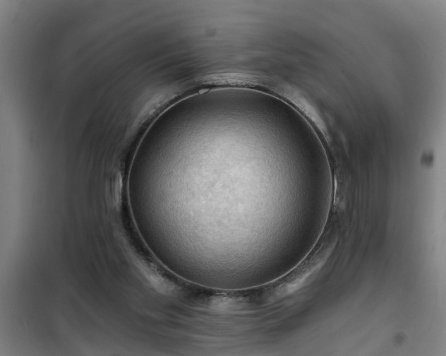 X0000101090109200807031736