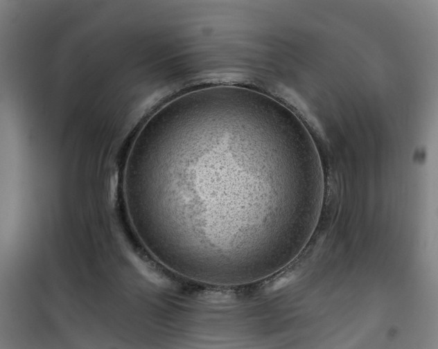 X0000101090110200807031736