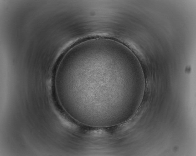 X0000101090112200807031736