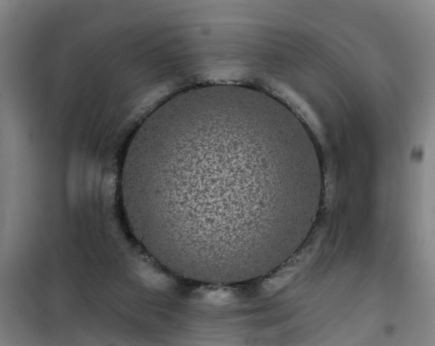 X0000101090113200807031736